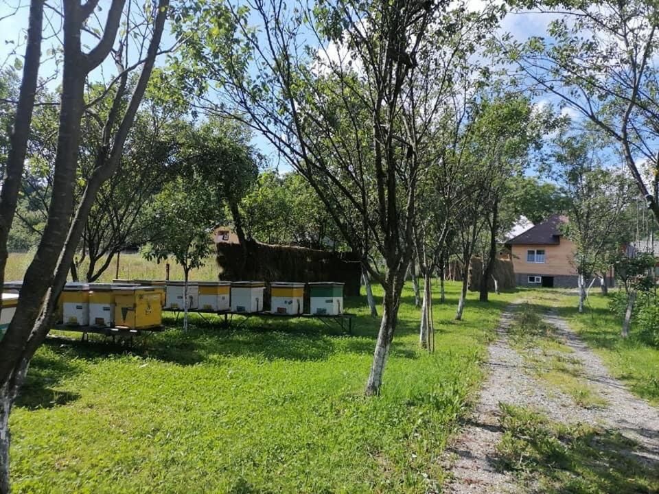 Загородные дома Casuța lui Matei Мойсей-15